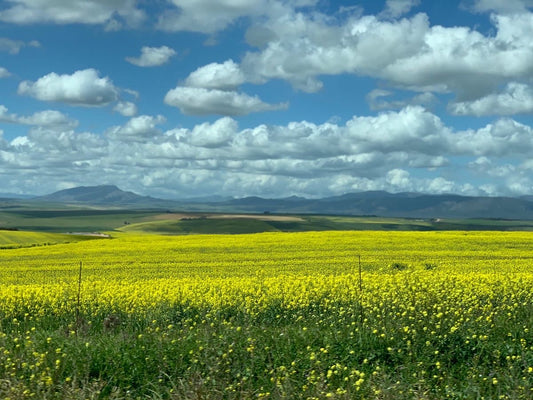 September in South Africa