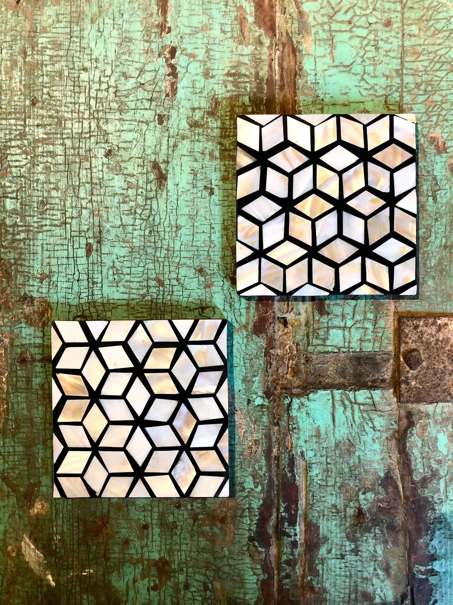 Shell Coasters Square s/2