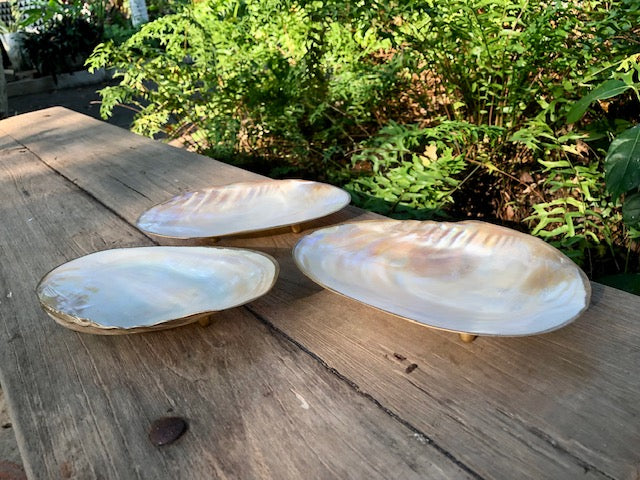 White Shell Platter